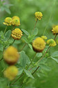 BUITEN BEELD Foto: 346219