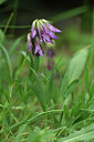 BUITEN BEELD Foto: 346220