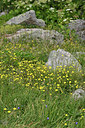 BUITEN BEELD Foto: 346225