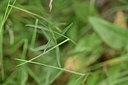 BUITEN BEELD Foto: 346235