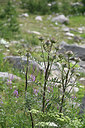 BUITEN BEELD Foto: 346241
