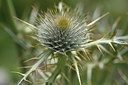 BUITEN BEELD Foto: 346242