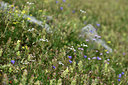 BUITEN BEELD Foto: 346252