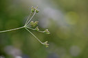BUITEN BEELD Foto: 346253