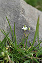 BUITEN BEELD Foto: 346273