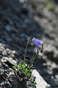 BUITEN BEELD Foto: 346285
