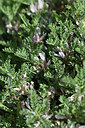 BUITEN BEELD Foto: 346287
