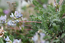 BUITEN BEELD Foto: 346307