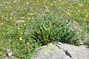 BUITEN BEELD Foto: 346322