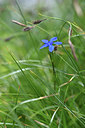 BUITEN BEELD Foto: 346338