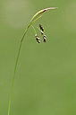 BUITEN BEELD Foto: 346349