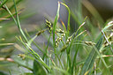 BUITEN BEELD Foto: 346352