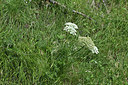 BUITEN BEELD Foto: 346361