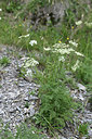 BUITEN BEELD Foto: 346362