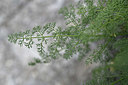 BUITEN BEELD Foto: 346364