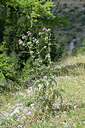 BUITEN BEELD Foto: 346366