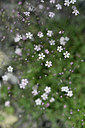 BUITEN BEELD Foto: 346374