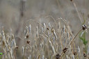 BUITEN BEELD Foto: 346381