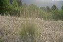BUITEN BEELD Foto: 346385
