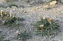 BUITEN BEELD Foto: 346388