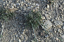 BUITEN BEELD Foto: 346391