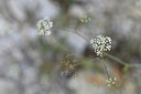 BUITEN BEELD Foto: 346434