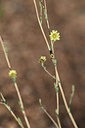 BUITEN BEELD Foto: 346454
