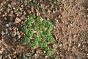 BUITEN BEELD Foto: 346457