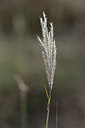 BUITEN BEELD Foto: 346459