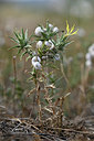 BUITEN BEELD Foto: 346460