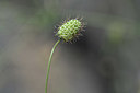 BUITEN BEELD Foto: 346499