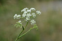 BUITEN BEELD Foto: 346504