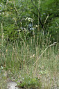 BUITEN BEELD Foto: 346507
