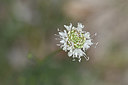 BUITEN BEELD Foto: 346511