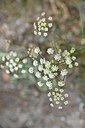 BUITEN BEELD Foto: 346514