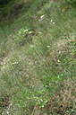 BUITEN BEELD Foto: 346521