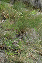 BUITEN BEELD Foto: 346523
