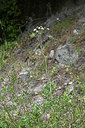 BUITEN BEELD Foto: 346526
