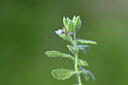 BUITEN BEELD Foto: 346538