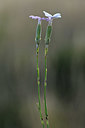 BUITEN BEELD Foto: 346569