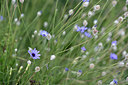 BUITEN BEELD Foto: 346571