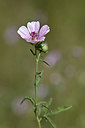 BUITEN BEELD Foto: 346573