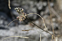 BUITEN BEELD Foto: 346590