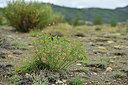 BUITEN BEELD Foto: 346594
