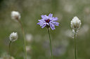 BUITEN BEELD Foto: 346603