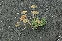 BUITEN BEELD Foto: 346606