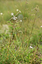 BUITEN BEELD Foto: 346616