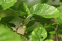 BUITEN BEELD Foto: 346617