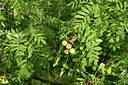 BUITEN BEELD Foto: 346624