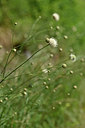 BUITEN BEELD Foto: 346636